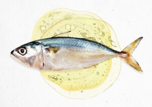 fish-oil-supplements