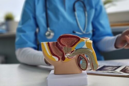 Testicular Atrophy During TRT
