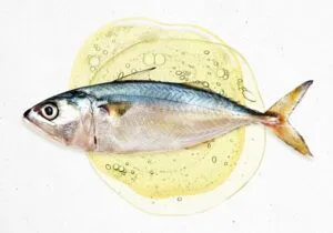 fish-oil-supplements