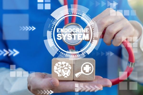 endocrine system - vitality aesthetic regenerative medicine