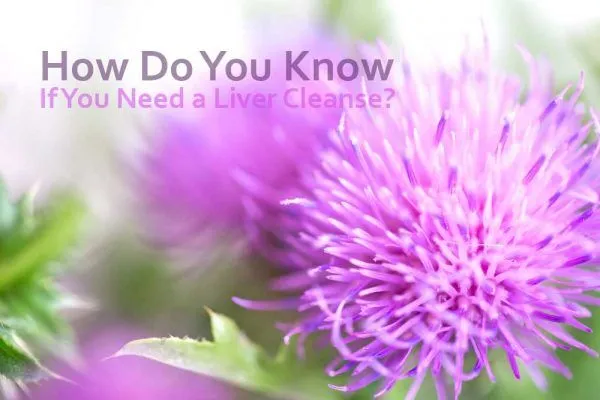 liver-cleanse