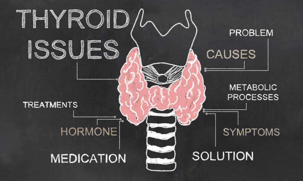 thyroid-balance